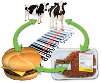 bezpeznost potravin, sledovatelnost RFID systému, správa řešení