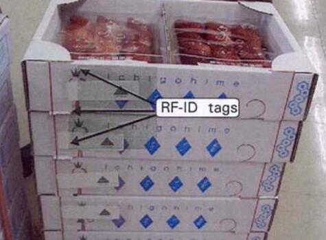食物壁画RFID系统的seguimiento de transport en línea de temperature en timempo real