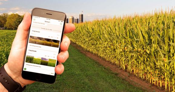 Environmental Factors Detecting Solution For Farm Crop Plant